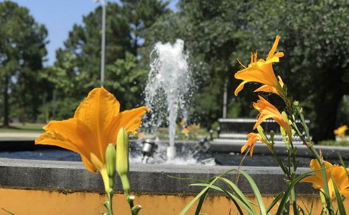 GSU Campus Flowers and Fountain